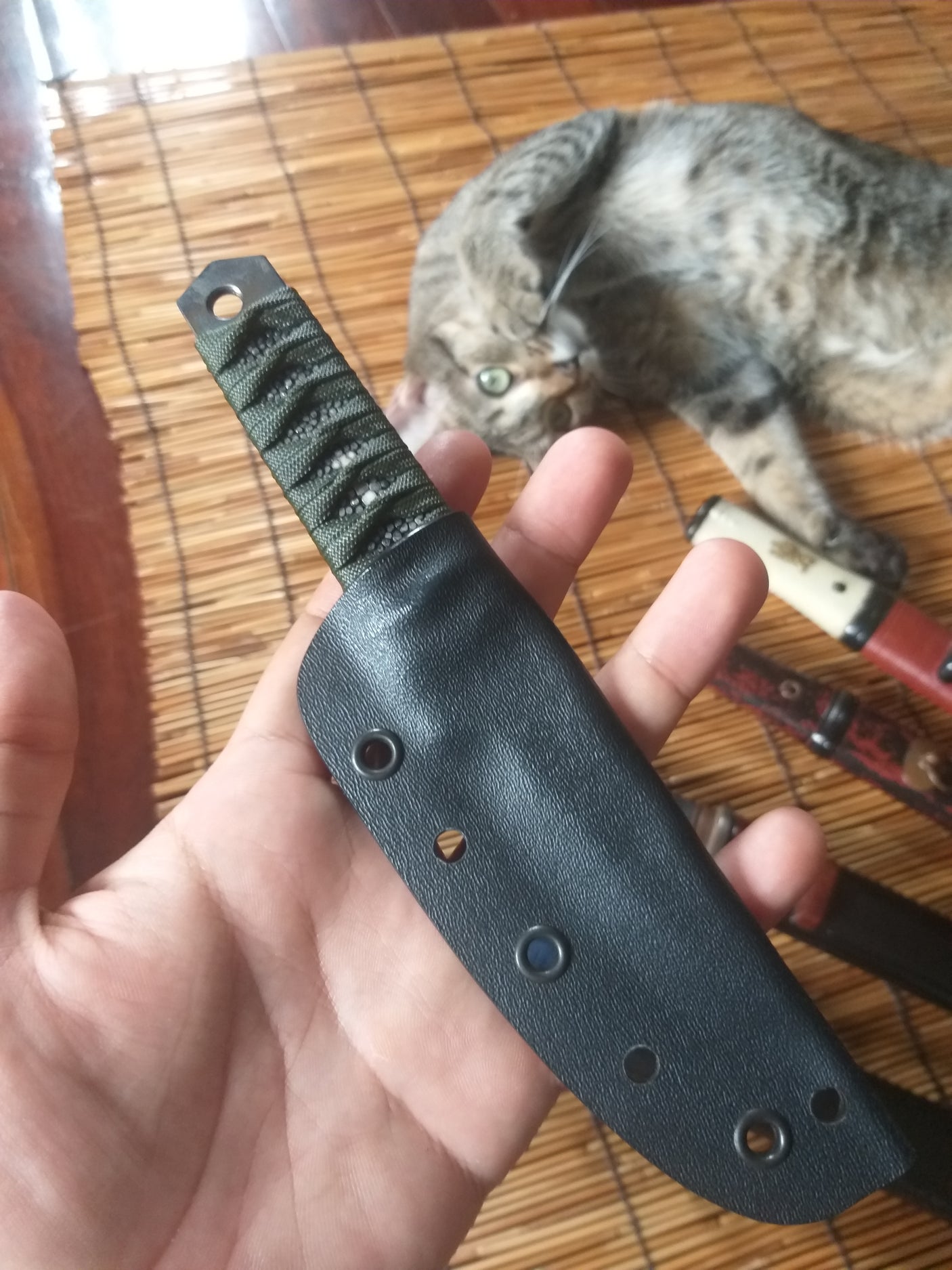 Carbidized Edge Single Bevel Pocket Knife