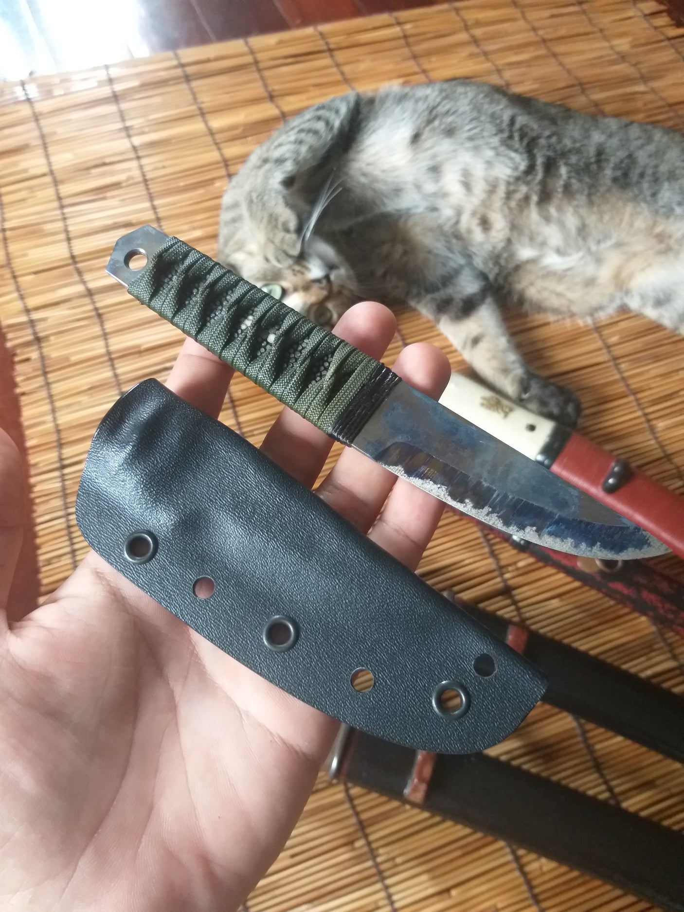 Carbidized Edge Single Bevel Pocket Knife