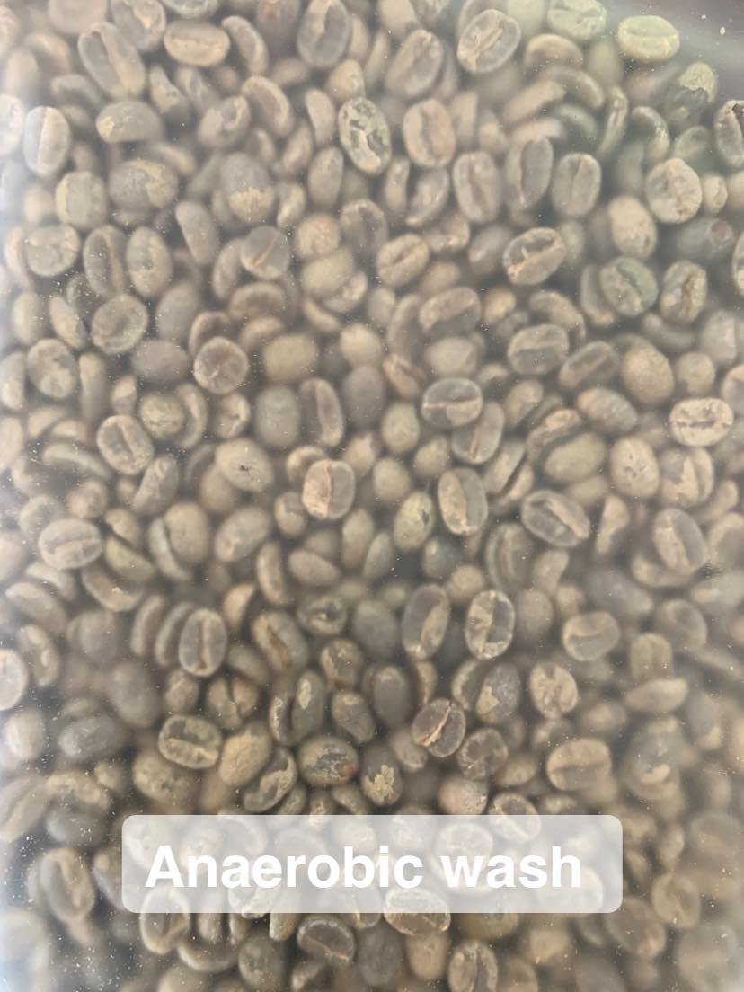 Siam Blades Coffee Subscription - Siam Blades