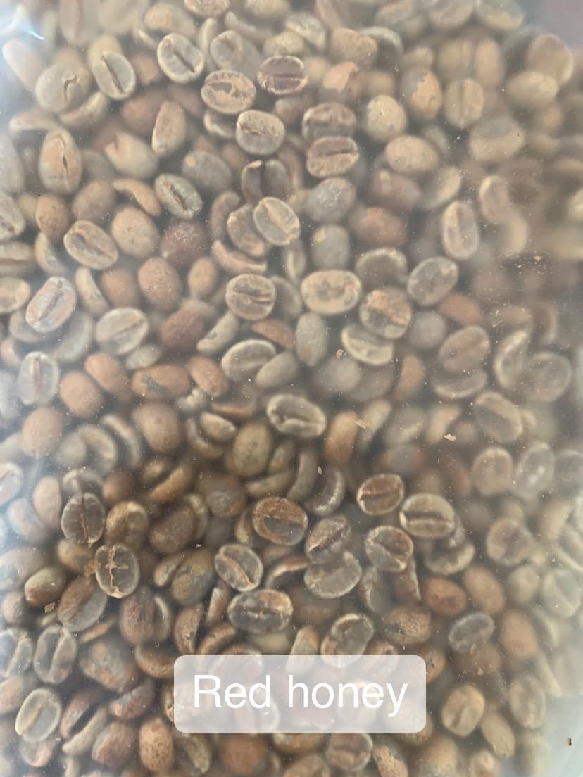 Siam Blades Coffee Subscription - Siam Blades