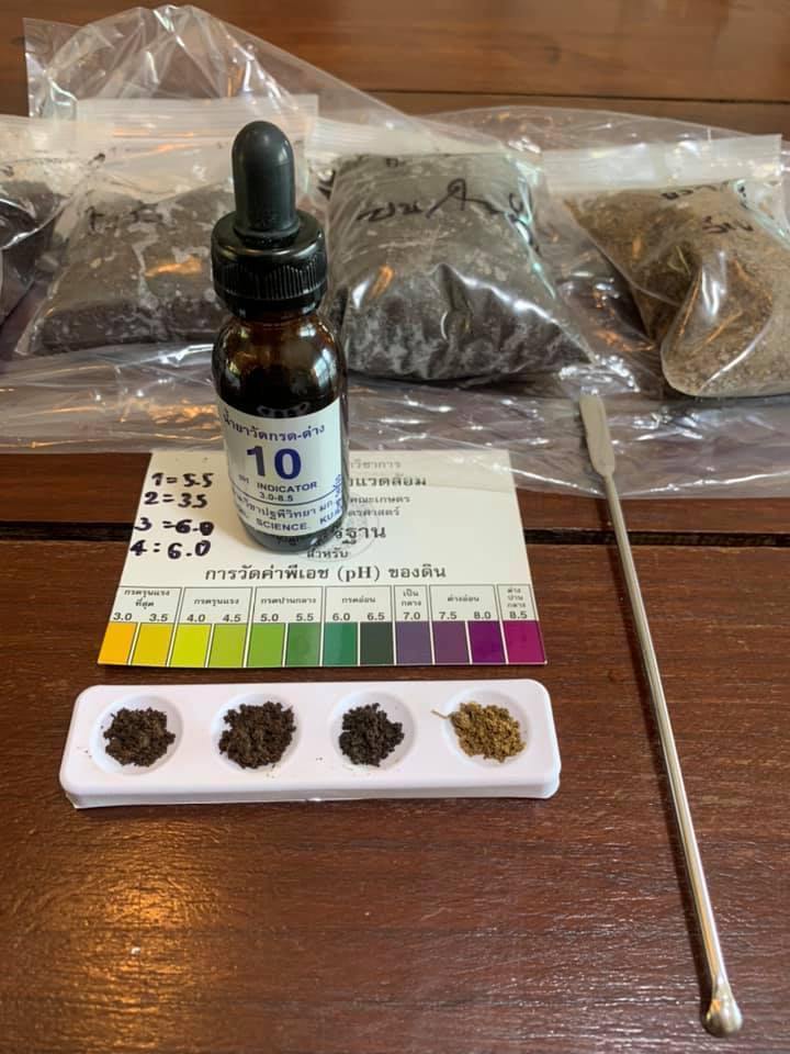 Siam Blades Coffee Subscription - Siam Blades