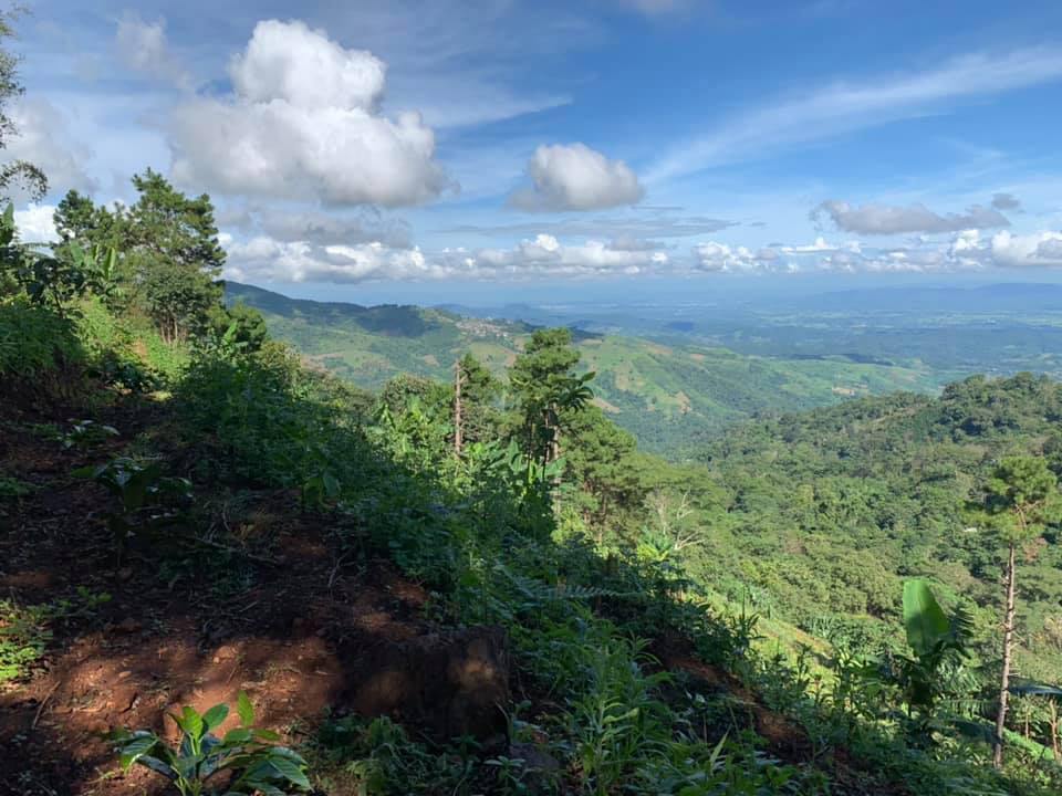 Siam Blades Coffee Subscription - Siam Blades