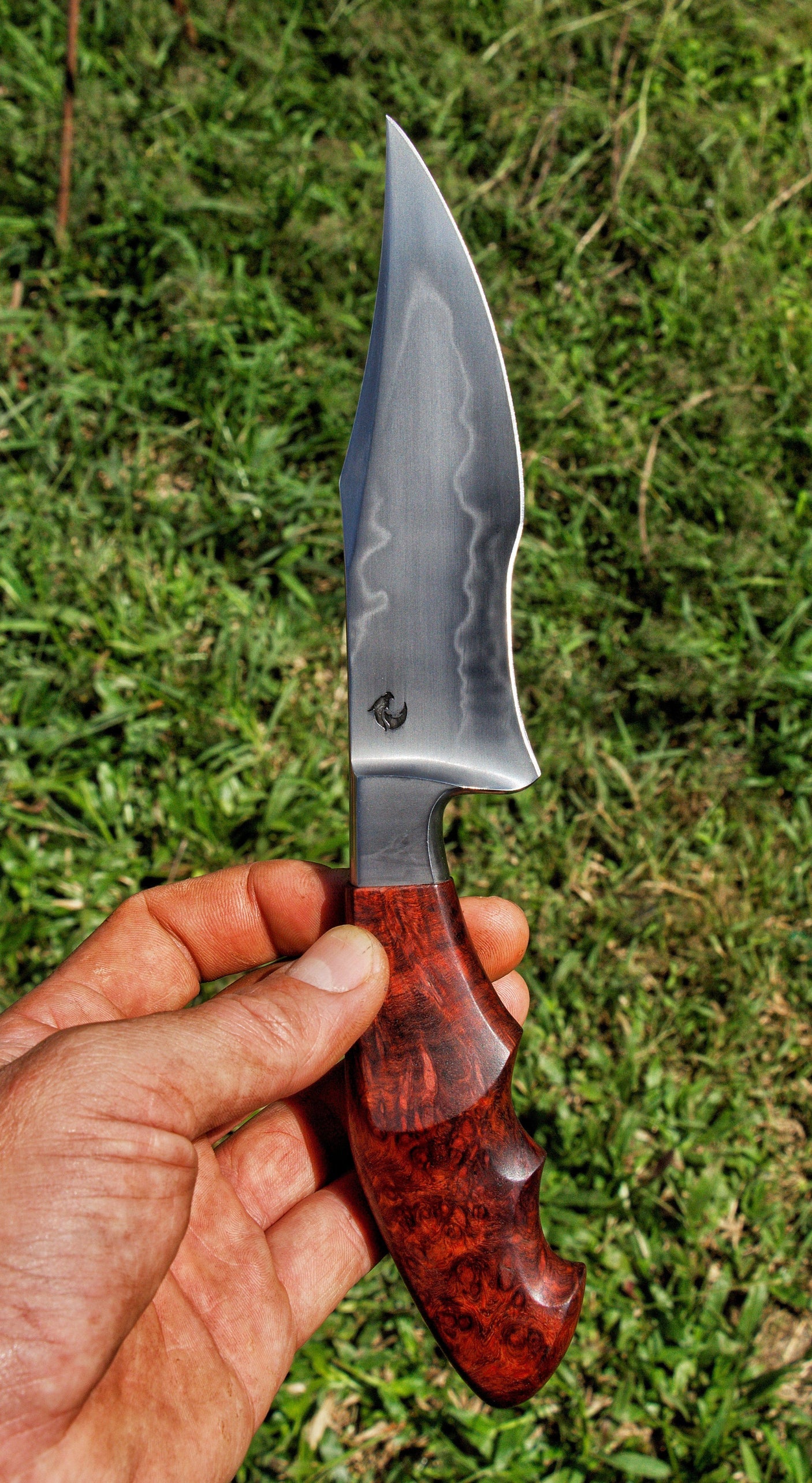 Dragonknife Integral Recurved Bowie