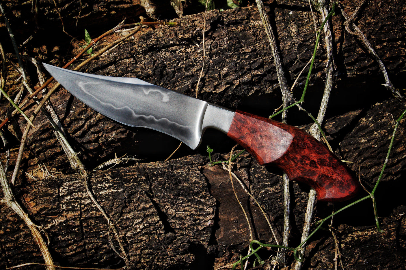 Dragonknife Integral Recurved Bowie