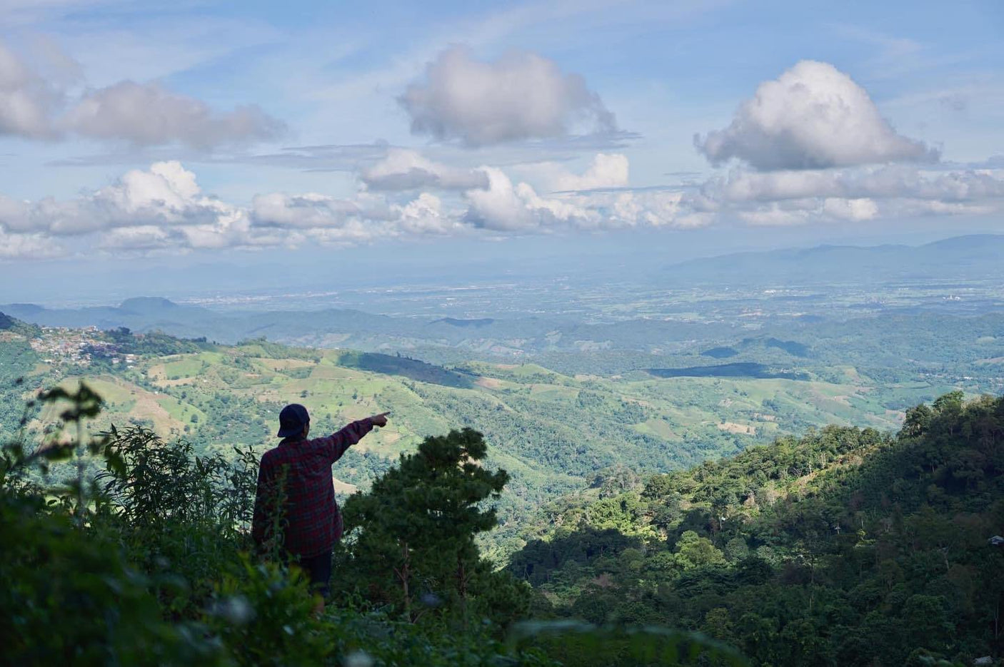 Siam Blades Coffee Subscription - Siam Blades