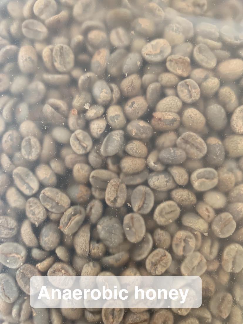 Siam Blades Coffee Subscription - Siam Blades