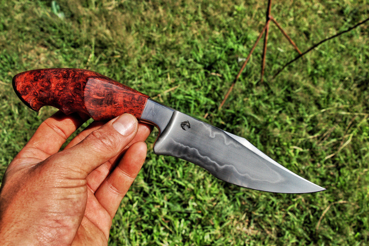 Dragonknife Integral Recurved Bowie