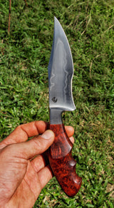 Dragonknife Integral Recurved Bowie