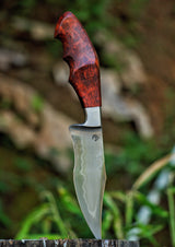 Dragonknife Integral Recurved Bowie