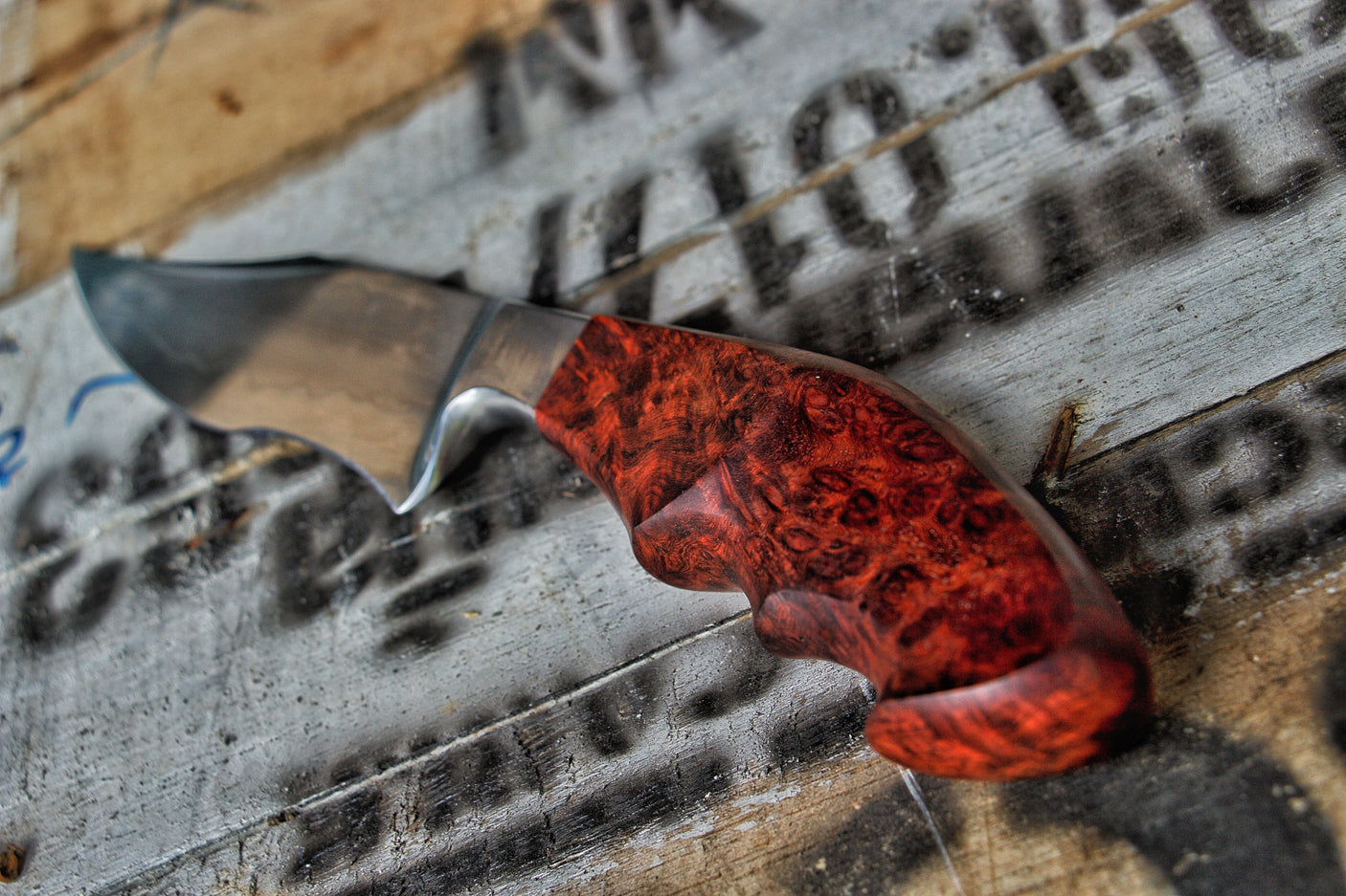 Dragonknife Integral Recurved Bowie