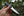 MTK-Dart Boot Dagger - Siam Blades