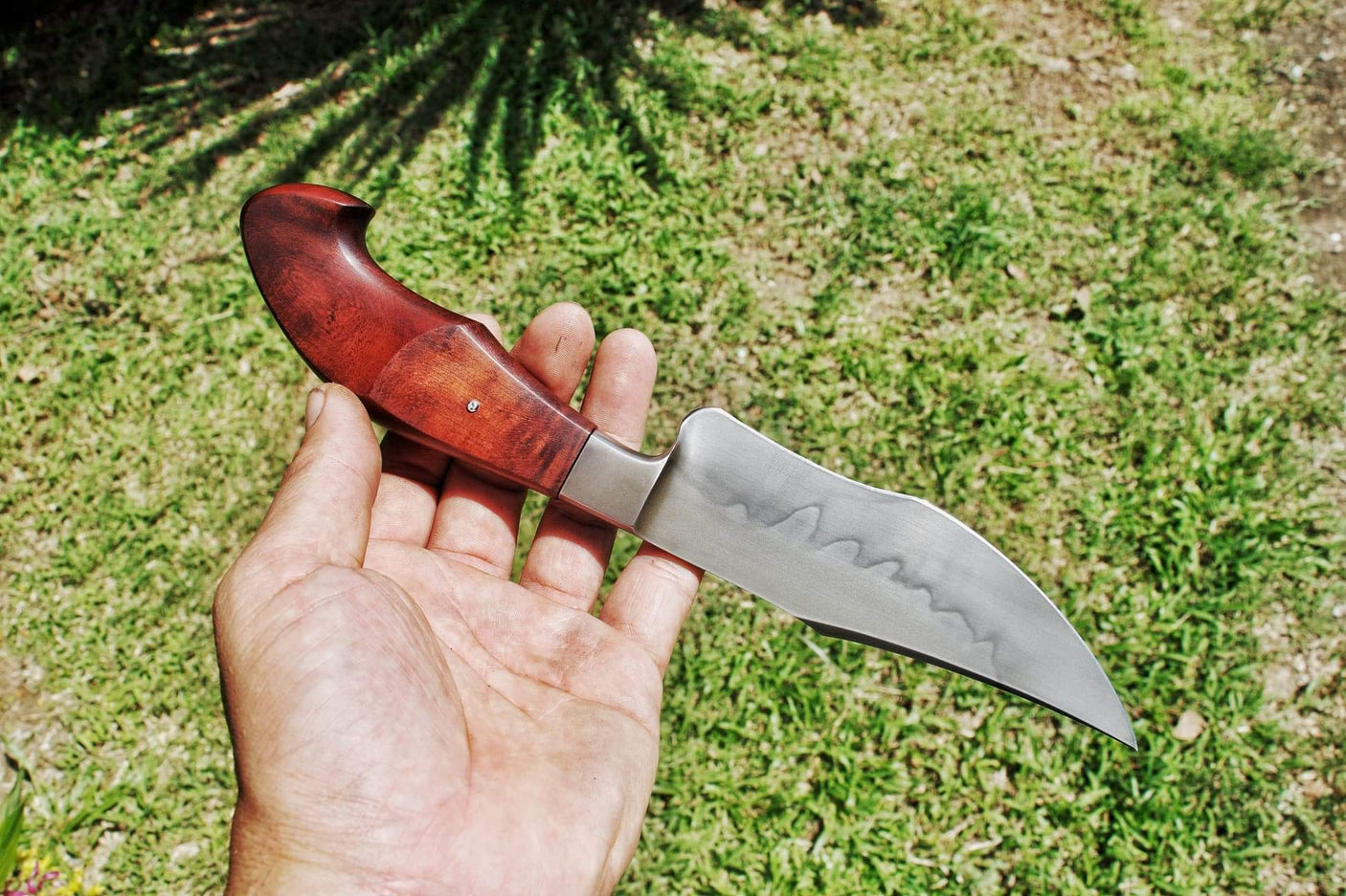 Dragonknife Integral Recurved Bowie