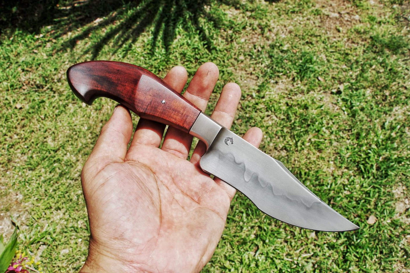 Dragonknife Integral Recurved Bowie